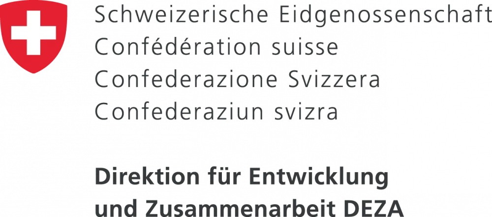 DEZA Logo d