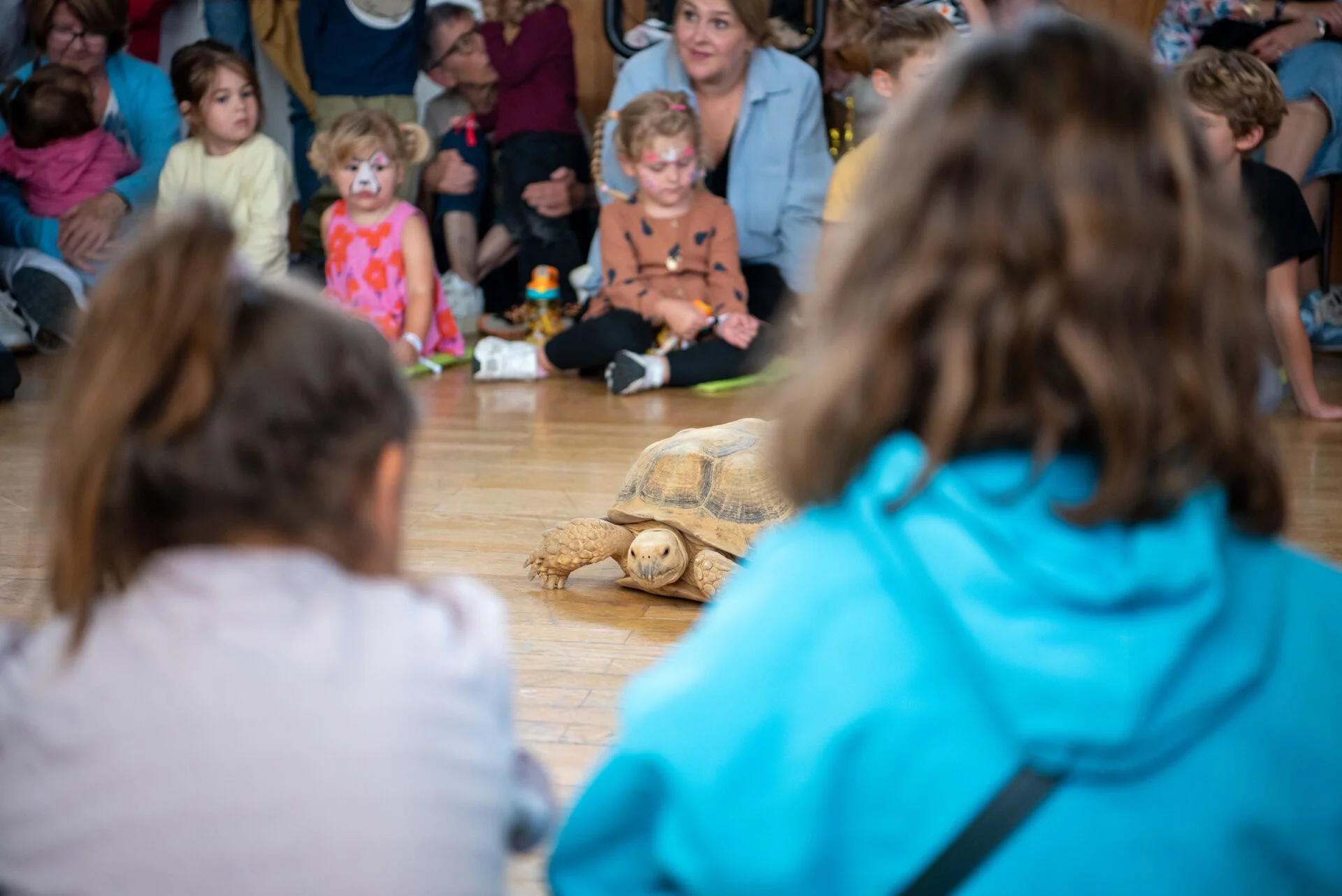Sommerfest 2025 Kinderdorf Pestalozzi Walter Zoo