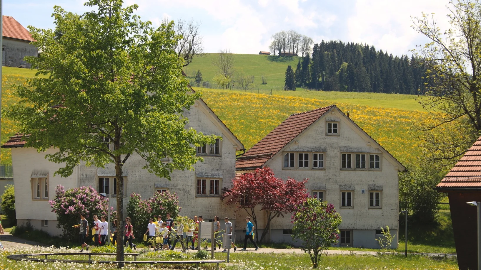 Dorf im Frühling